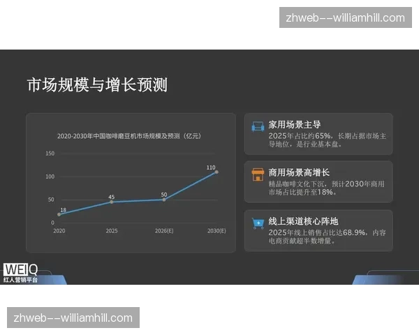 轻量化网页播放端广告承载能力 助力下沉市场渗透
